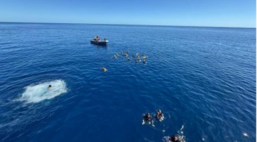Swim Call